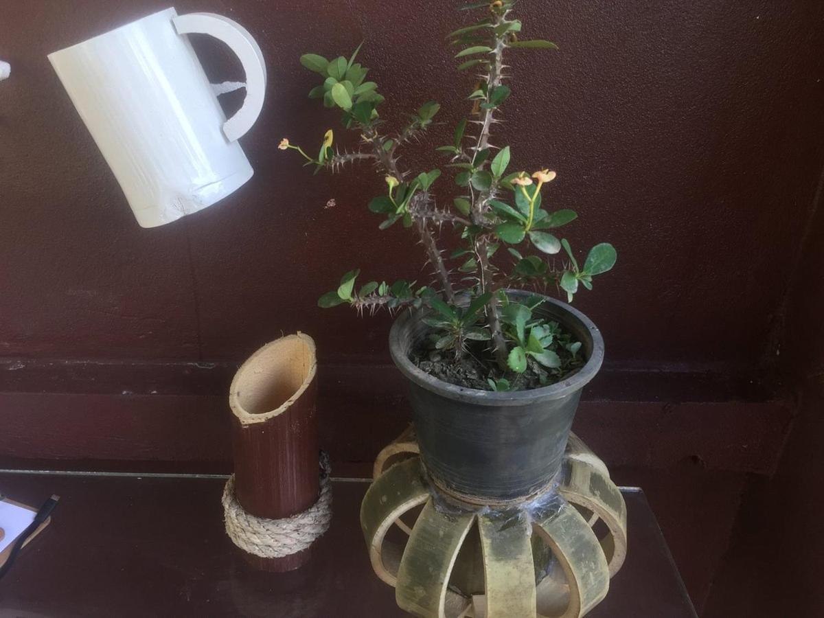 Dd Guest House 巴色 外观 照片